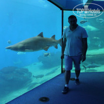 фото из отзыва ID 1456768