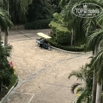 фото из отзыва ID 1456824