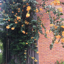 фото из отзыва ID 1456826