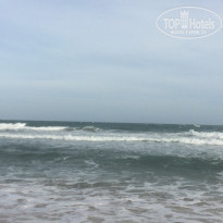 фото из отзыва ID 1456826