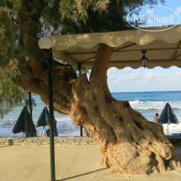 фото из отзыва ID 1456228