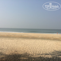 фото из отзыва ID 1457103