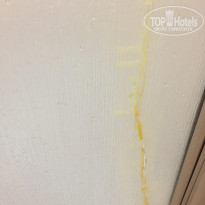 фото из отзыва ID 1457152