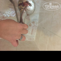 фото из отзыва ID 1457152