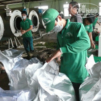 фото из отзыва ID 1457385