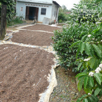 фото из отзыва ID 1457385