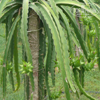 фото из отзыва ID 1457385