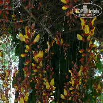 фото из отзыва ID 1457385