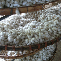 фото из отзыва ID 1457385