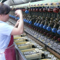 фото из отзыва ID 1457385