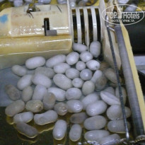 фото из отзыва ID 1457385