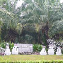 фото из отзыва ID 1457385