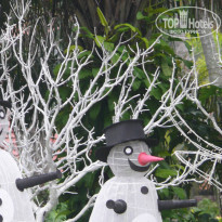 фото из отзыва ID 1457385