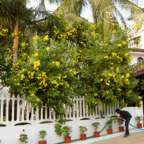 фото из отзыва ID 1457447