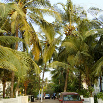 фото из отзыва ID 1457447