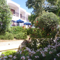 фото из отзыва ID 1457578