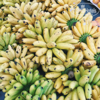 фото из отзыва ID 1457587