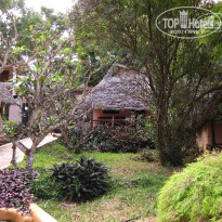 фото из отзыва ID 1457632