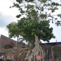 фото из отзыва ID 1457632