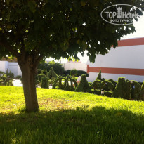 фото из отзыва ID 1457686