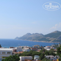 фото из отзыва ID 1457690