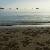 фото из отзыва ID 1457711