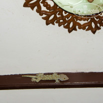 фото из отзыва ID 1457711