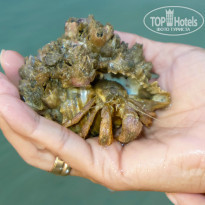 фото из отзыва ID 1457711