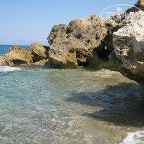 фото из отзыва ID 1457743