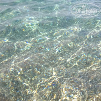 фото из отзыва ID 1457780