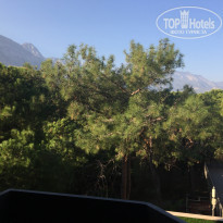 фото из отзыва ID 1457795