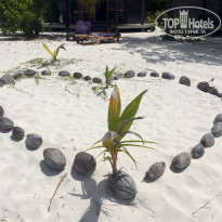 фото из отзыва ID 1457829