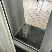 фото из отзыва ID 1457926