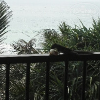 фото из отзыва ID 1457977