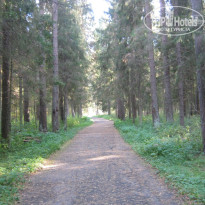 фото из отзыва ID 1457996