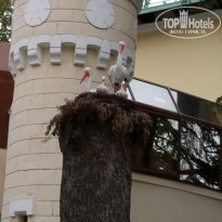 фото из отзыва ID 1458128