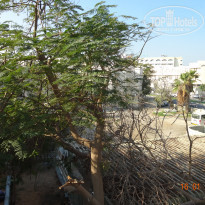 фото из отзыва ID 1458139