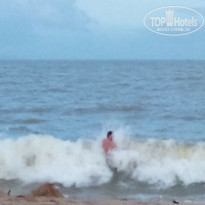 фото из отзыва ID 1458185