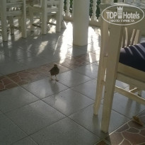 фото из отзыва ID 1458243