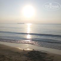 фото из отзыва ID 1458354