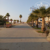 фото из отзыва ID 1458354