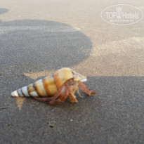 фото из отзыва ID 1458419