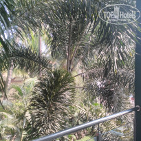 фото из отзыва ID 1458440