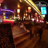 фото из отзыва ID 1458440