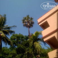 фото из отзыва ID 1458489