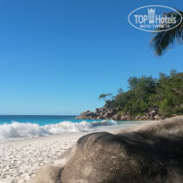 фото из отзыва ID 1458528