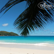 фото из отзыва ID 1458528