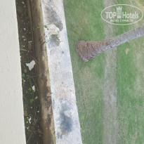 фото из отзыва ID 1458565