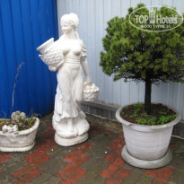 фото из отзыва ID 1458655