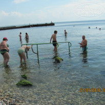 фото из отзыва ID 1458455